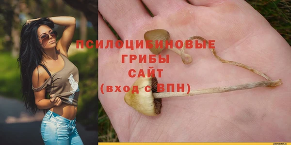 mdpv Кинешма