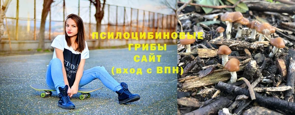mdpv Кинешма