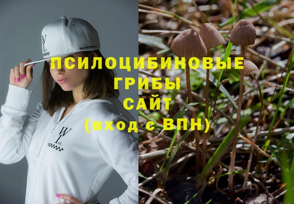 альфа пвп Киреевск
