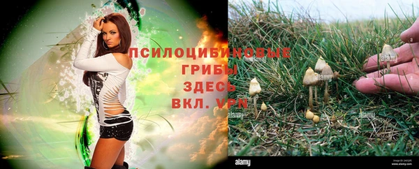 альфа пвп Киреевск